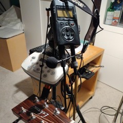 Weiße Pferde (RiP Georg Danzer, silent evening one-take, inspired by ..)