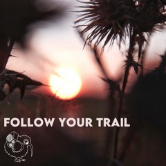 Follow Your Trail
