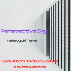 Perspective Sky