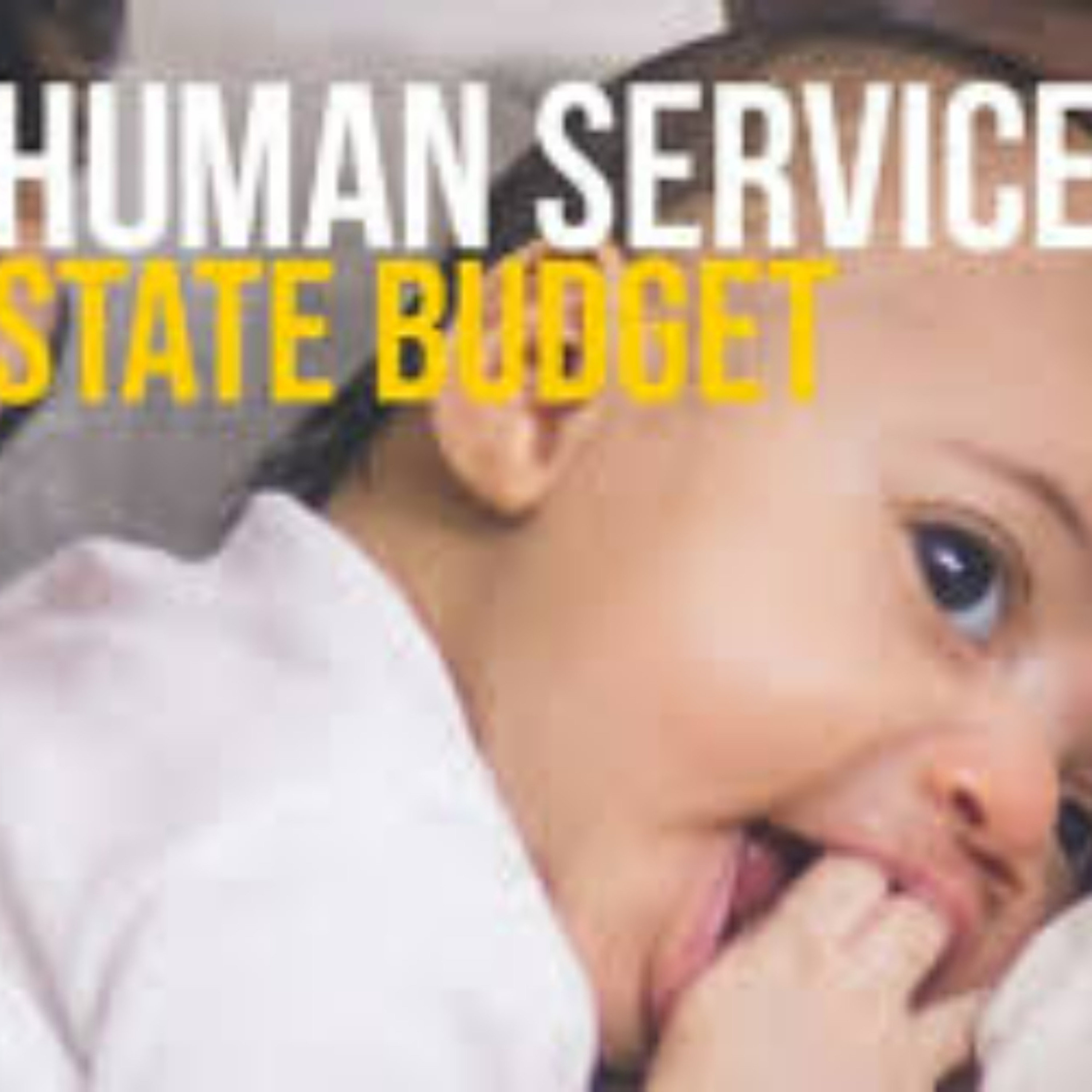 Human Service Testimony on NYS Budget