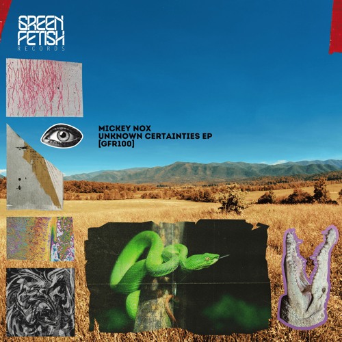 Premiere: Mickey Nox - Learn It Orgasm [GFR100]