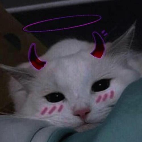 Best Day Of My Life (sped Up)