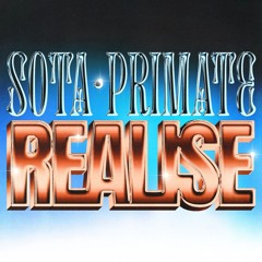 SOTA & PRIMATE - REALISE ( H! DUDE REMIX )