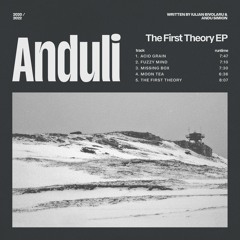 PREMIERE: Anduli (Andu Simion & IULY.B) - Fuzzy Mind