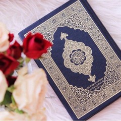 سورة الأنبياء  بصوت   وليد عاطف