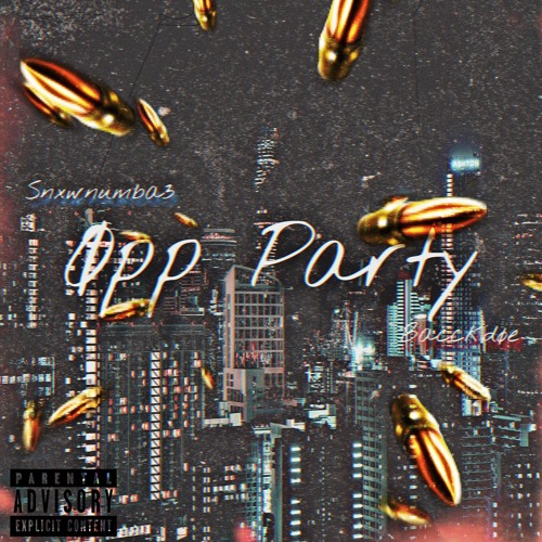 Opp party X Snxwnumba3