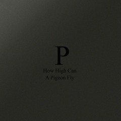 Phara - How High Can A Pigeon Fly - PH006 Previews