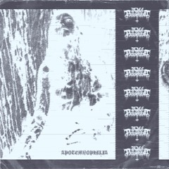 Nill Pxssessxd / Apxtemnxphilia (KBC2021)