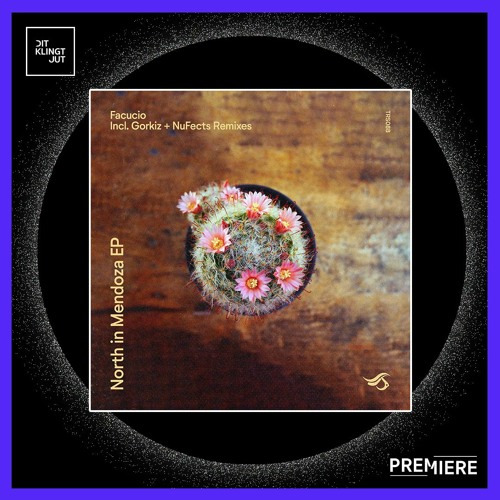 PREMIERE: Facucio - North In Mendoza | Transensations Records