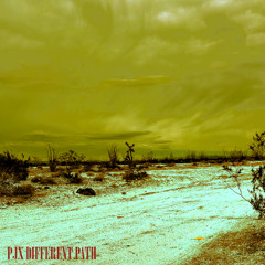 Different Path
