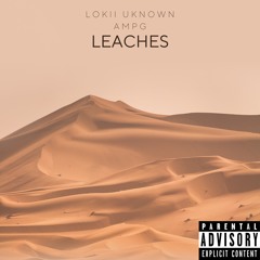 Leaches