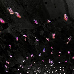 RECICLED