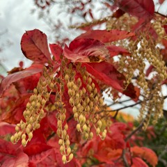 Who Do I Love? (prod. yabob)