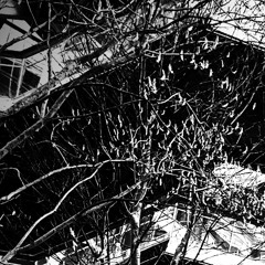 {free} redda + yeat + supertrap type beat ~ "HellNo" (beatsbyboris + dincu)
