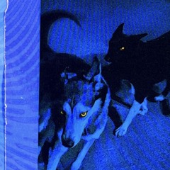 wolves (polo G, glorilla & nemzzz)