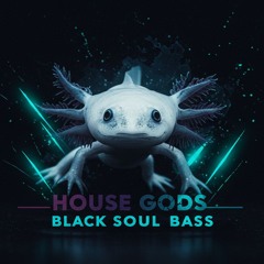 Black Soul Bass