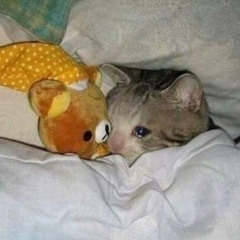 secretsaturdays - a letter for my future self. be safe.