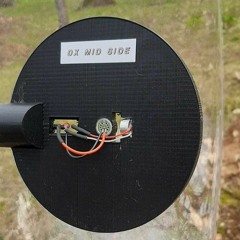 MID - SIDE AOM5024 + EM283 figure 8 Parabolic Microphone Blackcap Song