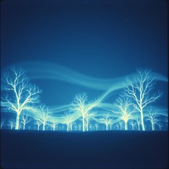 Cool Air in the Night