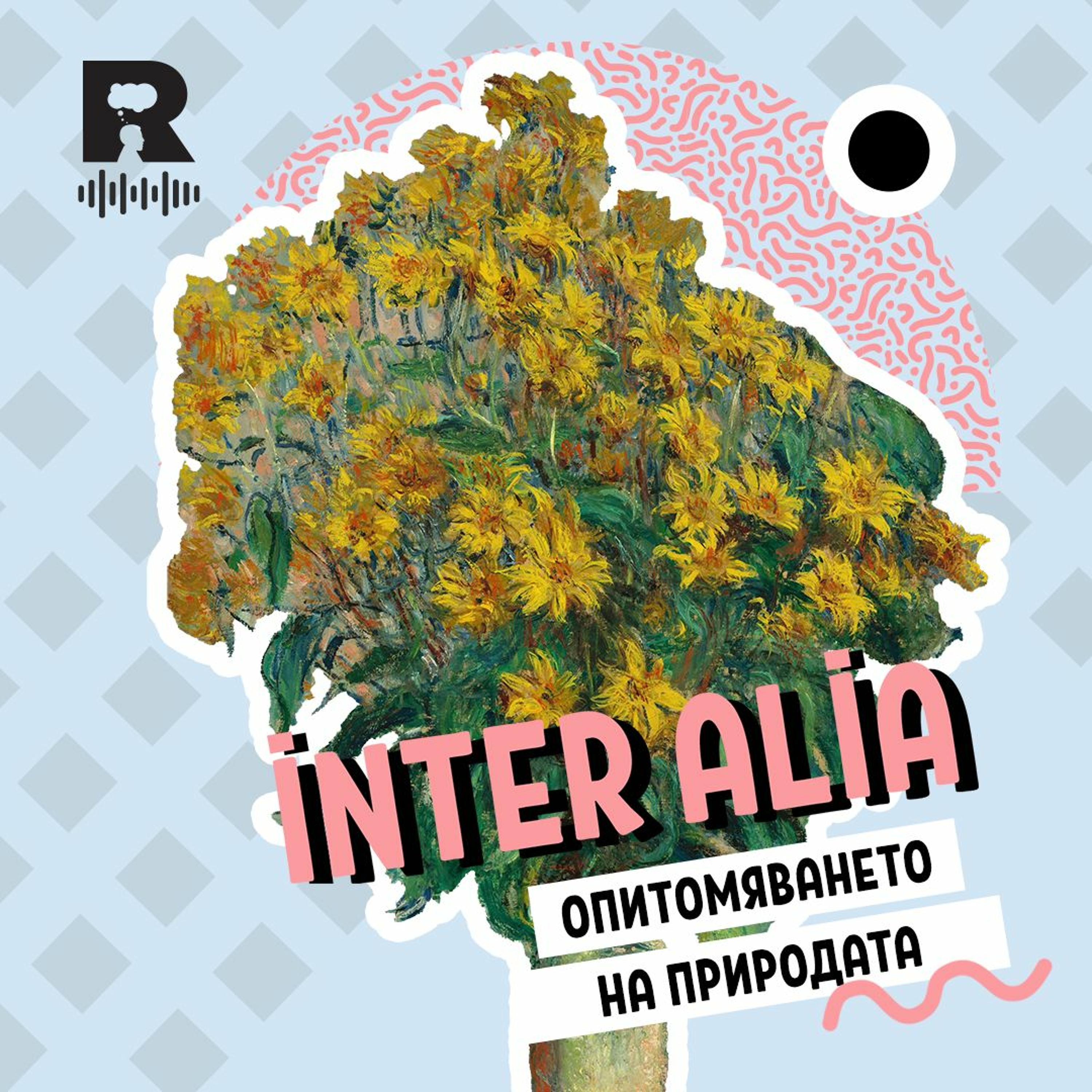 Ratio Podcast