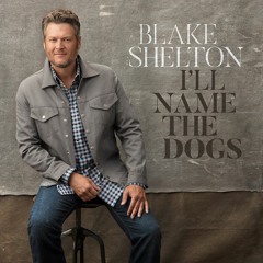 Blake Shelton - I'll Name the Dogs