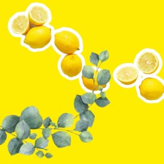 LEMON LIME