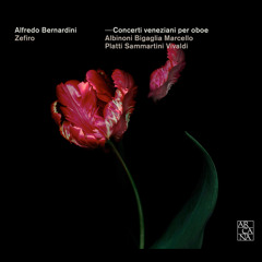 Oboe Concerto in G Minor, Op. 11 No. 6, RV 460: III. Allegro non molto
