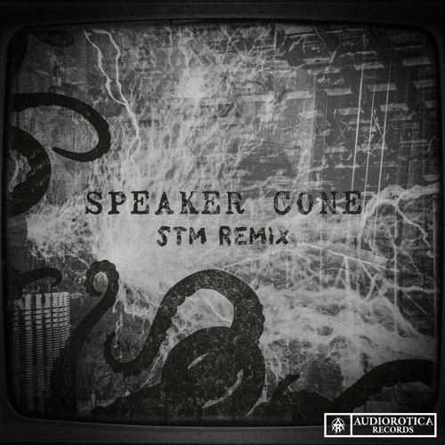 Speaker Cone (STM Remix)