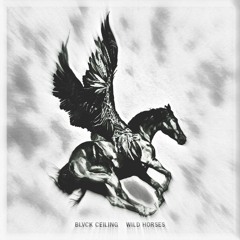 BLVCK CEILING - Give me the gun (†777† Remix)