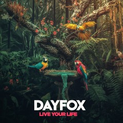 DayFox - Live Your Life (Free Download)