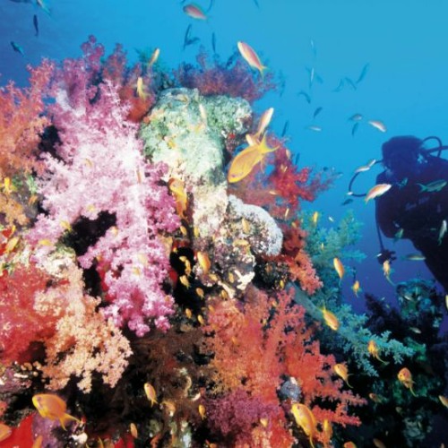 アレクシス-フレゼラレクシス-ロイド epic background music FREE DOWNLOAD