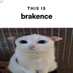 brakence- i2i