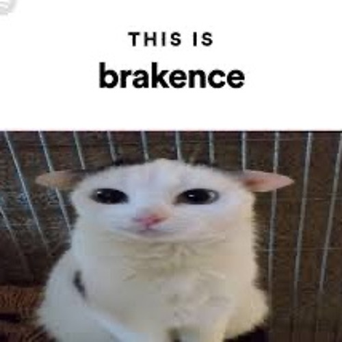 brakence- i2i