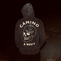Camino