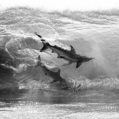 subb52025 w/_pink.wav