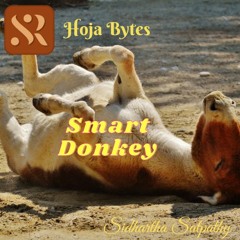 027 Smart Donkey