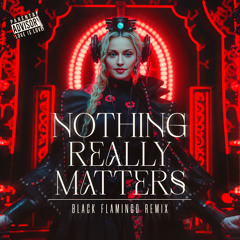 Nothing Really Matters ( Black Flamingo Remix ) - Madonna