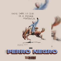 Perro Negro (Tech Edit)