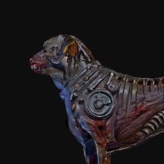 OFFICIALCHRISBOII - Rottweiler (ESDEEKID ~ REMIX)