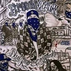 BROWN XPOSURE - LIVING IN THE STRUGGLE