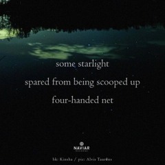 haiku #620: some starlight / spared from being scooped up / four-handed net