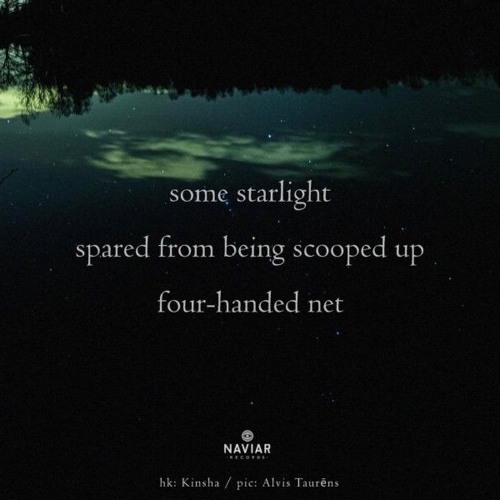 haiku #620: some starlight / spared from being scooped up / four-handed net