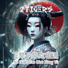 Xia Bei Zi Zao Dian Xiang Yu 下辈子早点相遇 (2TIGERS RC Remix)