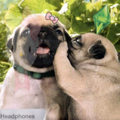 LenovoRise-PugMADNESS