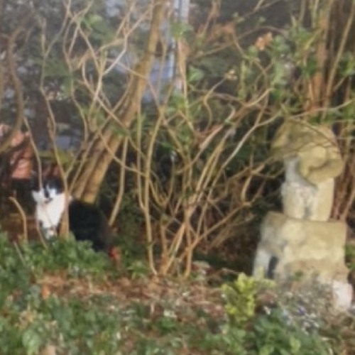 highway (nyli + zoroaster)