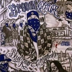 BROWN XPOSURE - BROWN & YOUNG