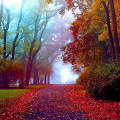 Another Dream_