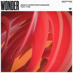 Marco Carpentieri & BigNoise feat. Tyzn - Wonder