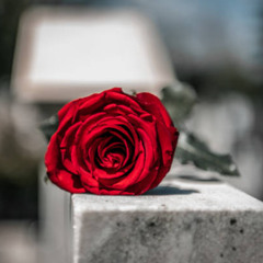 Rose up