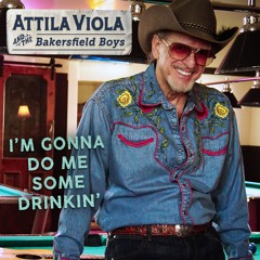 I'm Gonna Do Me Some Drinkin'